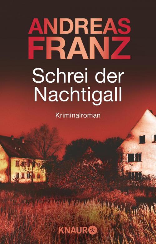 Cover of the book Schrei der Nachtigall by Andreas Franz, Knaur eBook