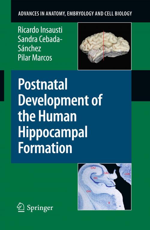 Cover of the book Postnatal Development of the Human Hippocampal Formation by Ricardo Insausti, Sandra Cebada-Sánchez, Pilar Marcos, Springer Berlin Heidelberg