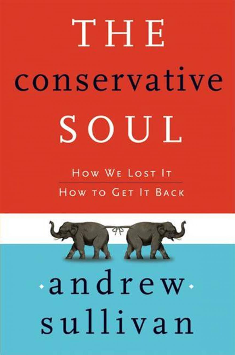 Big bigCover of The Conservative Soul