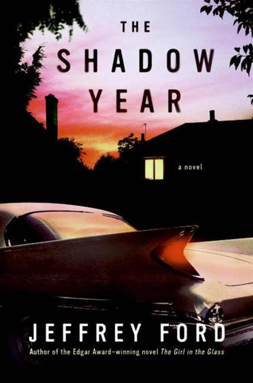 Big bigCover of The Shadow Year