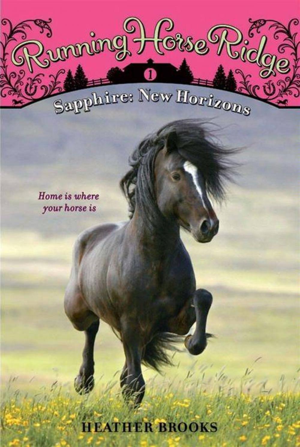 Big bigCover of Running Horse Ridge #1: Sapphire: New Horizons