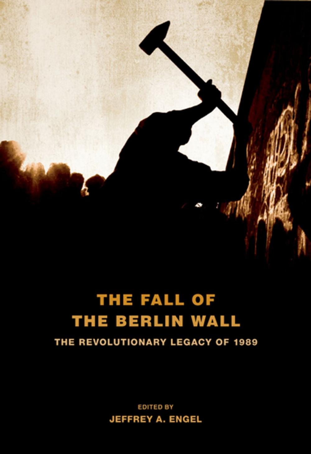 Big bigCover of The Fall of the Berlin Wall