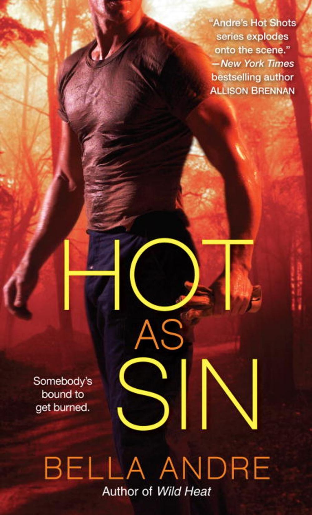 Big bigCover of Hot as Sin