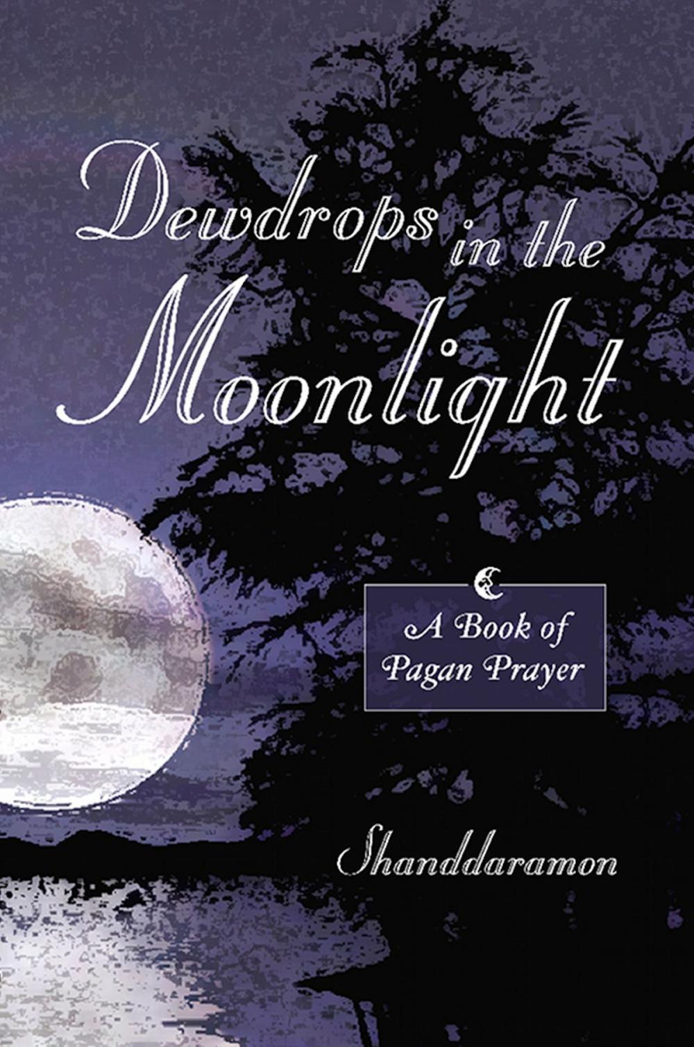 Big bigCover of Dewdrops In The Moonlight