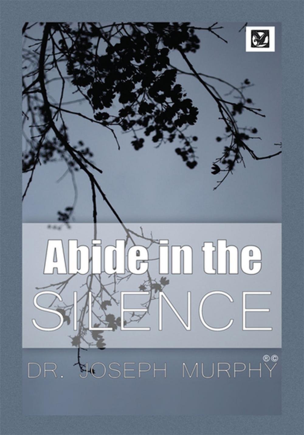 Big bigCover of Abide in the Silence