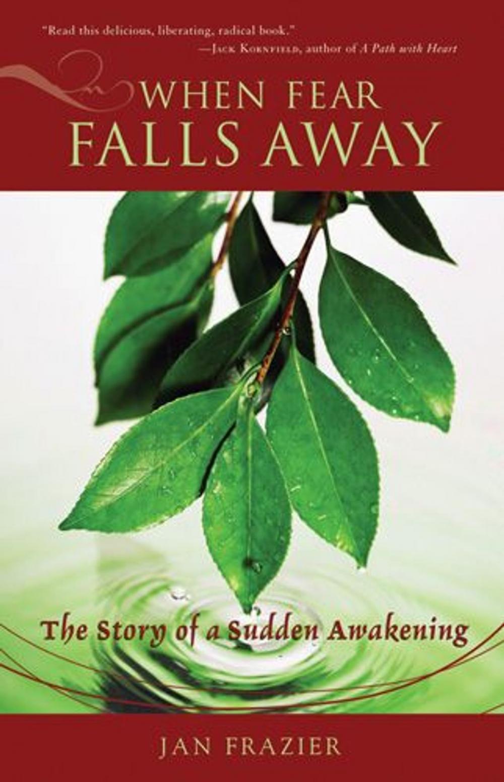 Big bigCover of When Fear Falls Away: The Story Of A Sudden Awakening