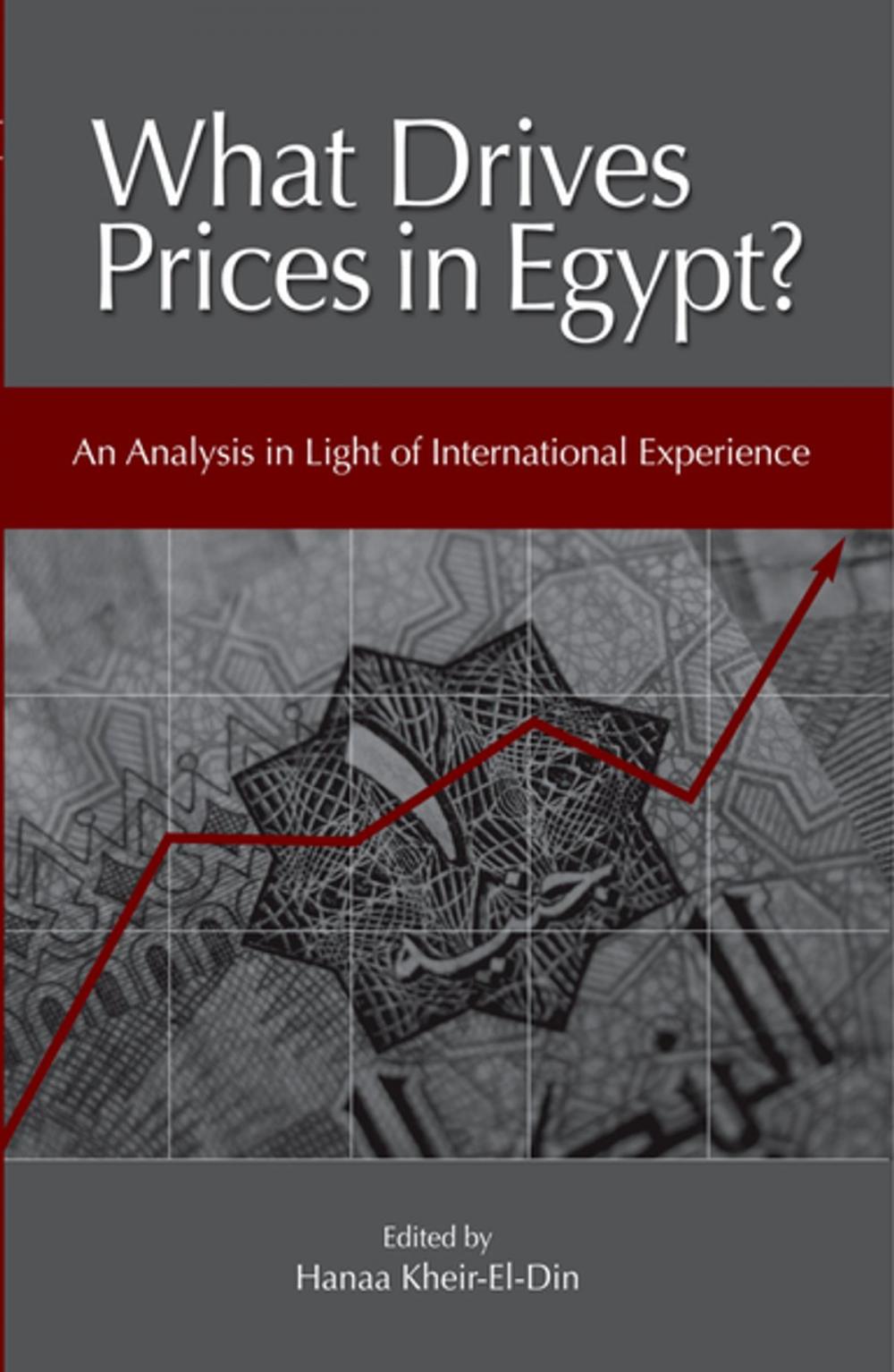 Big bigCover of What Drives Prices in Egypt?