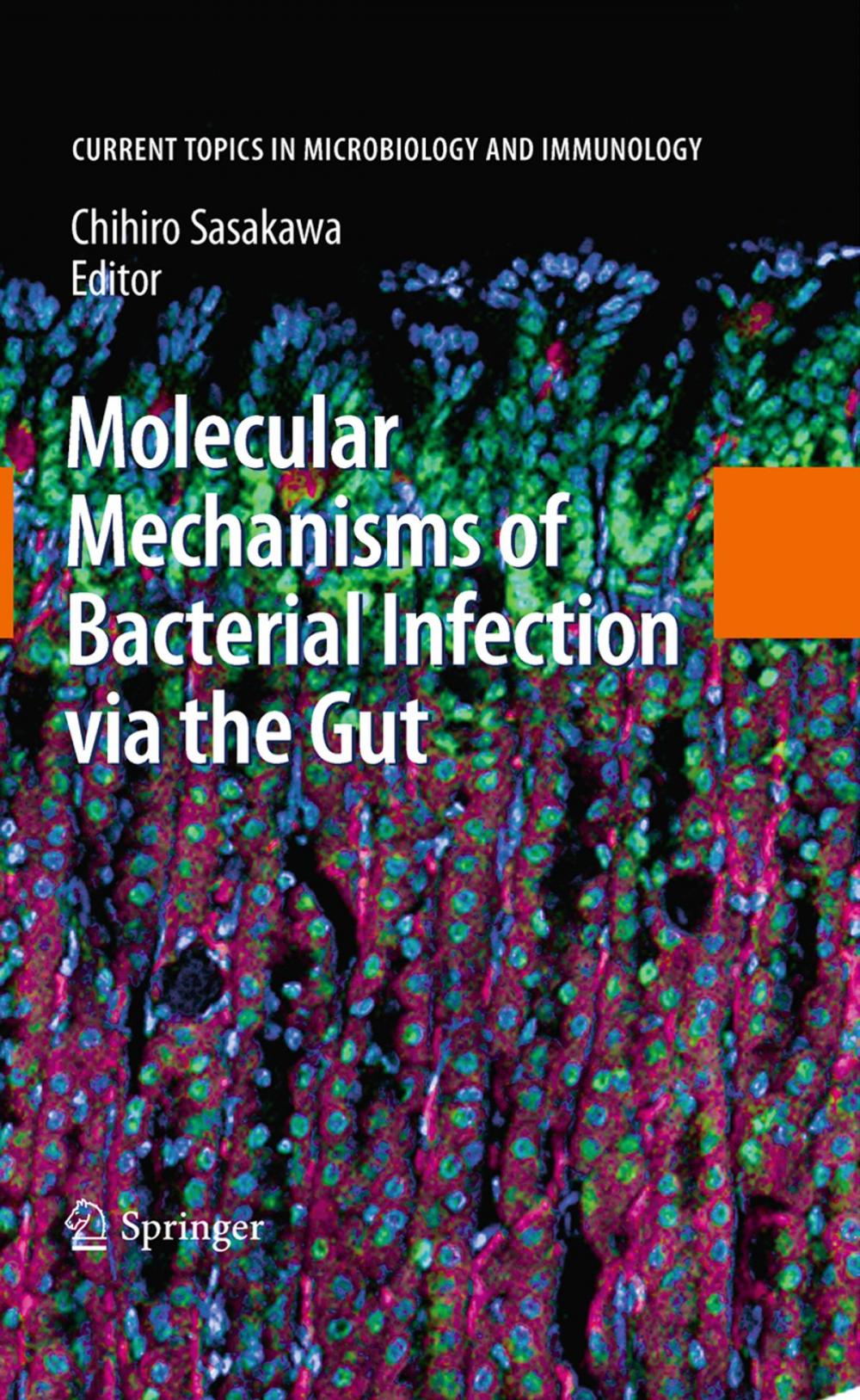 Big bigCover of Molecular Mechanisms of Bacterial Infection via the Gut