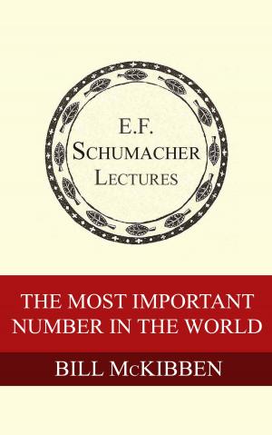 Cover of the book The Most Important Number In The World by John Todd, Hildegarde Hannum