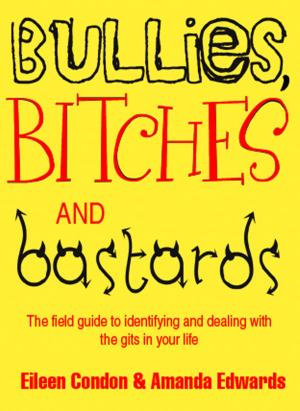 Cover of the book Bullies, Bitches and Bastards by Илья Эльнатанов, Дмитрий Воскресенский