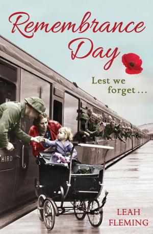 Cover of the book Remembrance Day by Brian Vesey-Fitzgerald