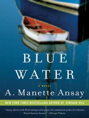 Cover of the book Blue Water by Catherine Crier