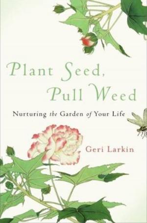 Book cover of Plant Seed, Pull Weed