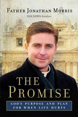 Cover of the book The Promise by Peter Blank, Wolfgang Weber