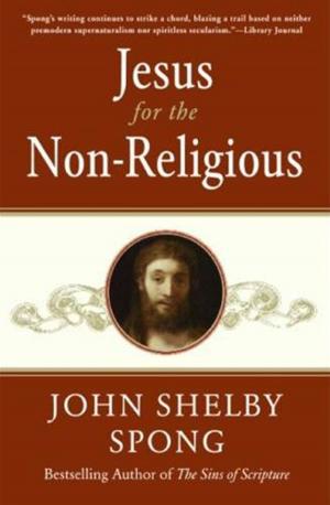 Cover of the book Jesus for the Non-Religious by Mimi E. Gotist