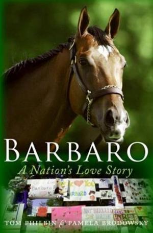 Cover of the book Barbaro by A. Manette Ansay