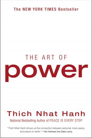 Book cover of The Art of Power