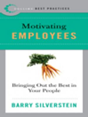 Cover of the book Best Practices: Motivating Employees by Michelle Gagnon