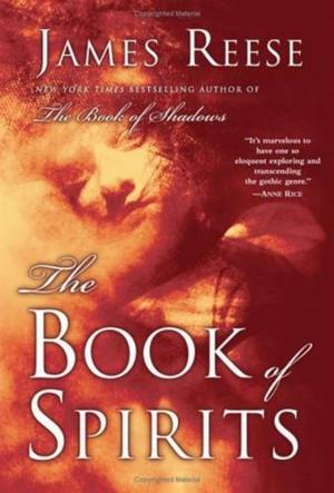 Cover of the book The Book of Spirits by Richard Herman