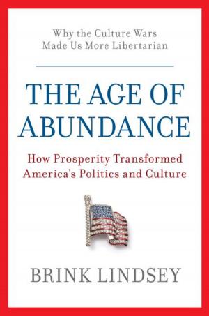 Cover of the book The Age of Abundance by Jane Feather