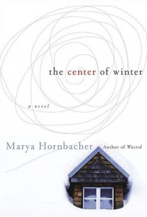 Cover of the book The Center of Winter by Joie Jager-Hyman