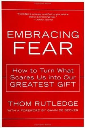 Cover of the book Embracing Fear by Terese McIlvain
