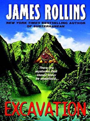 Cover of the book Excavation by Nicholas Reynolds