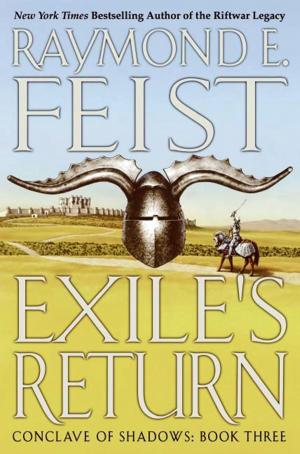 Cover of the book Exile's Return by Terry Pratchett