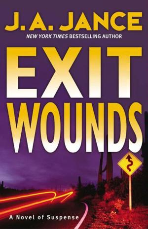 Cover of the book Exit Wounds by Ted Bell