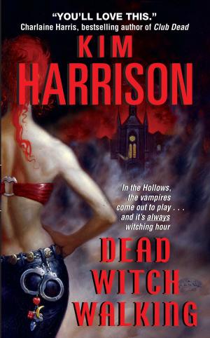 Cover of the book Dead Witch Walking by Susan Henderson