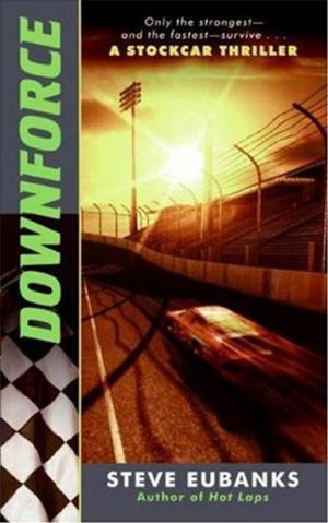 Cover of the book Downforce by Kristin Naca