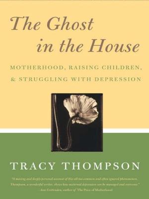 Cover of the book The Ghost in the House by Susan Henderson