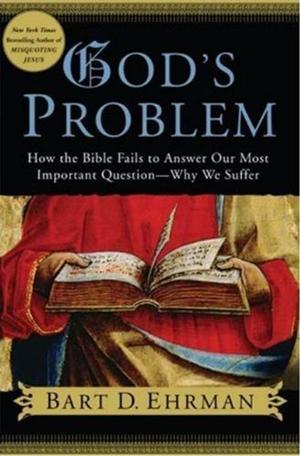 Cover of the book God's Problem by Kim Barnouin