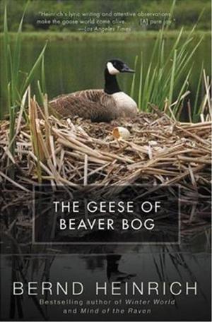 Cover of the book The Geese of Beaver Bog by Michael Crichton