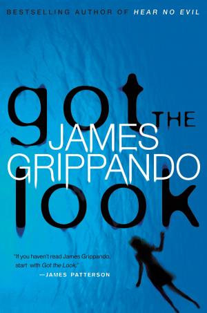 Cover of the book Got the Look by Gaby Triana