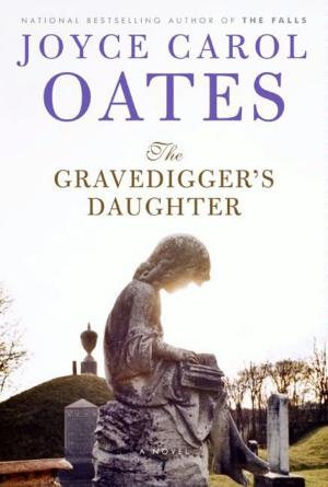 Cover of the book The Gravedigger's Daughter by Roger Rosenblatt