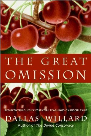 Cover of the book The Great Omission by Anne Wilson Schaef