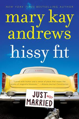 Cover of the book Hissy Fit by Evelyn Lyes