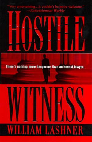 Cover of the book Hostile Witness by Grover Norquist