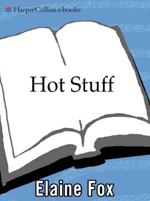 Cover of the book Hot Stuff by David Howarth
