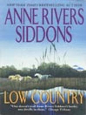 Cover of the book Low Country by Anthony Bianco