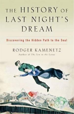 Cover of the book The History of Last Night's Dream by Dave L. Goetz