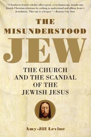 Cover of the book The Misunderstood Jew by Philip Gulley