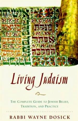 Cover of the book Living Judaism by Anne Wilson Schaef