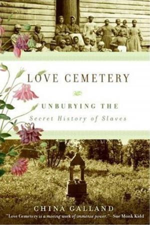 Cover of the book Love Cemetery by Mark Menolascino M.D.