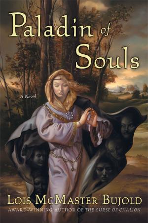 Book cover of Paladin of Souls