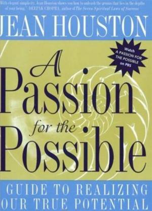 Book cover of A Passion For the Possible