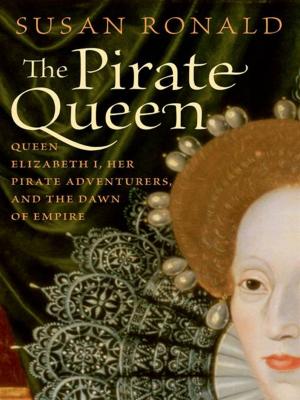 Cover of the book The Pirate Queen by Barbara Belmont