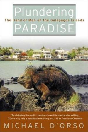 Cover of the book Plundering Paradise by Jean Chatzky