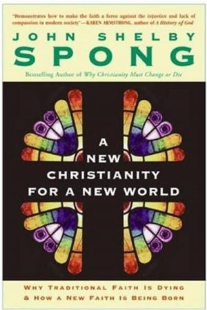 Cover of the book A New Christianity for a New World by Julie Galambush